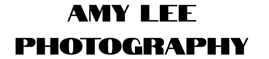 Amy Lee Photography.jpg